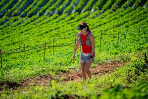 BIB: 
                            <button type="button" onclick="openModal(19161961)" class="btn btn-primary btn-sm float-right btn-popup" data-toggle="modal" data-target=".modal-high-quality">
                        <i class="fas fa-shopping-cart"></i> Add to Cart
                    </button>
                                            <button type="button" onclick="isThisMe(19161961, true)" class="btn btn-success btn-sm float-right btn-popup btn-isme hidden" data-toggle="tooltip" data-placement="bottom" title="นี่คือรูปของคุณใช่ไหม คลิกที่นี่เพื่อเอาเข้าอัลบั้ม">
                        <i class="fas fa-plus"></i> Add to album
                    </button>
                    <button type="button" onclick="isThisMe(19161961, false)" class="btn btn-warning btn-sm float-right btn-popup btn-isnotme hidden">
                        <i class="fas fa-ban"></i> Remove from album
                    </button>